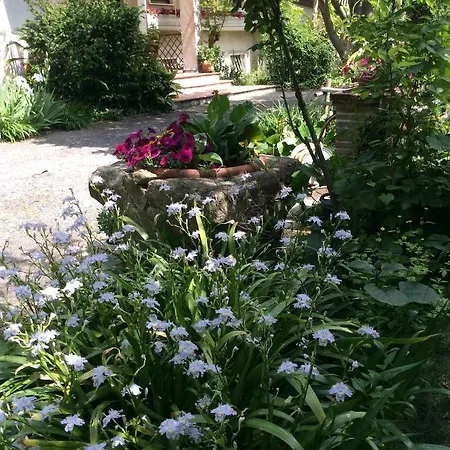 Oasi Di Benátky