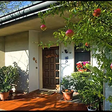 Oasi Di Panzió Velence