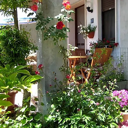 Oasi Di