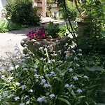 Oasi Di Velence