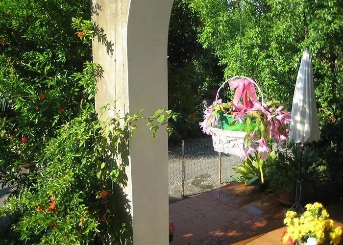 Alojamento de Acomodação e Pequeno-almoço Oasi Di